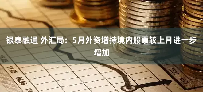 银泰融通 外汇局：5月外资增持境内股票较上月进一步增加