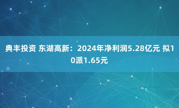 典丰投资 东湖高新：2024年净利润5.28亿元 拟10派1.65元